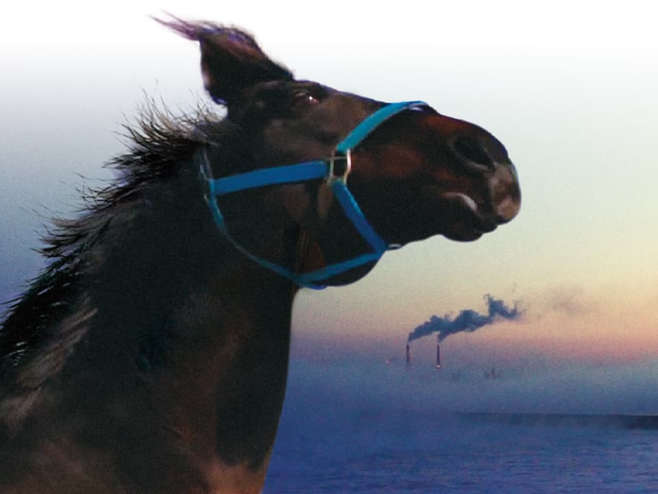 Ein Pferd, im Hintergrund eine Fabrik mit rauchenden Schornsteinen