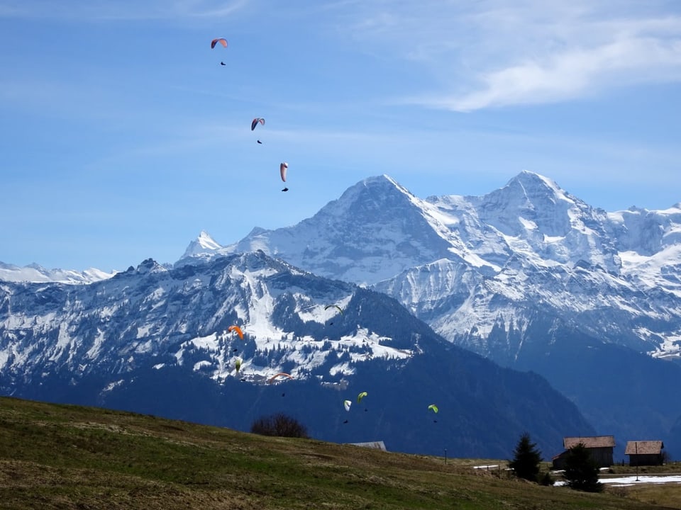 Gleitschirmflieger