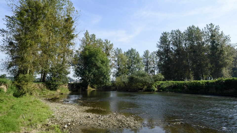 Die Oise, ein Nebenluss der Aisne, mit wenig Wasser