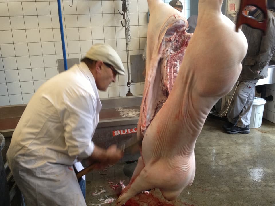 Der Metzger teilt das Schwein in zwei Hälften. Nun ist es bereit für die Fleisschau. Die Tierärztin ist mit der Qualität zufrieden, das Fleisch ist frei für den Verzehr.
