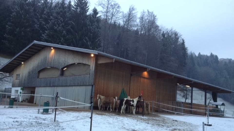 Winterliche Morgenstimmung beim Reitstall von Judith Baumeister in Laupen (ZH).