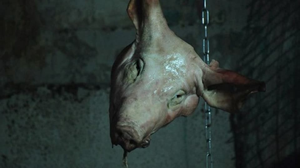 Ein toter Schweinekopf hängt an einer Kette in einem dunklen Raum.