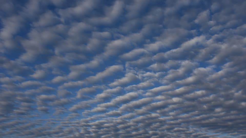 Wellenförmig angeordnete Quellwolken im mittleren Stock der Atmosphäre.