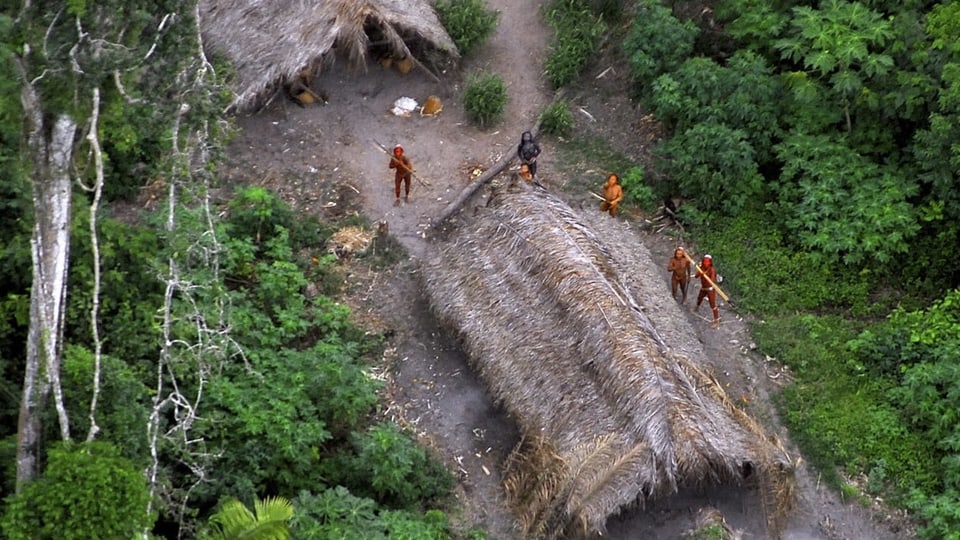Der Regenwald ist bedroht – vom brasilianischen Präsidenten