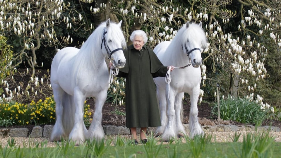 Die Queen mit «Bybeck Katie» und «Bybeck Nightingale». 