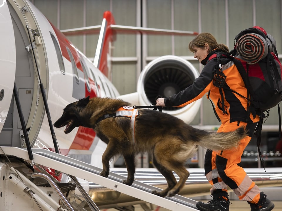 Eine Frau steigt mit einem Hund in ein Flugzeug.