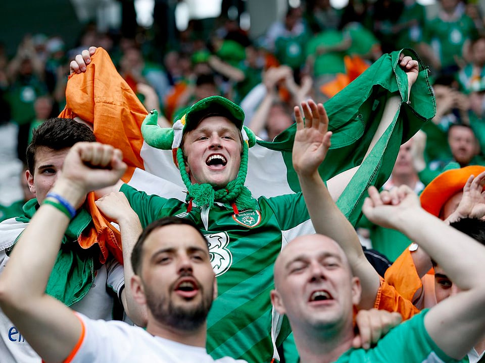 Irische Fans jubeln im Stadion.