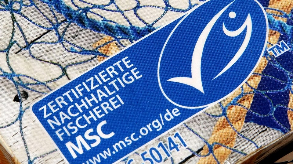 Auf dem Bild ist eine Packung Fisch mit dem Label MSC zu sehen.