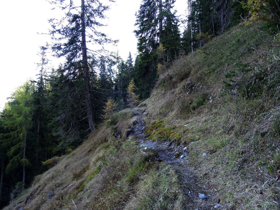 Fussweg am Steilhang