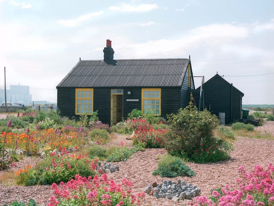 Ein einfaches Holzhaus in öder Umgebung, die von unzähligen bunten Blumen durchzogen ist.