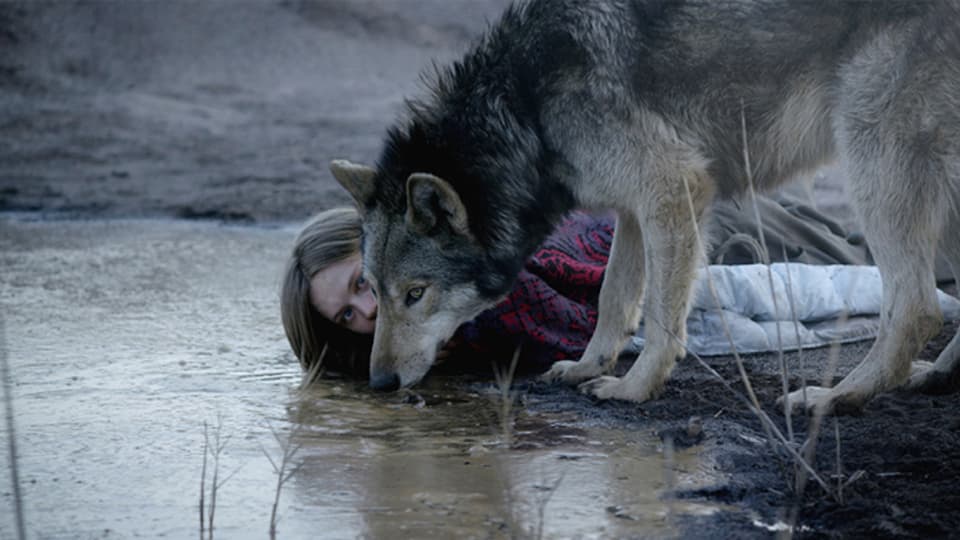 Eine Frau und einen Wolf trinken zusammen Wasser aus einem See. 
