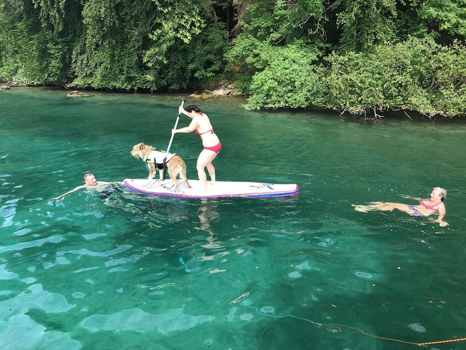 Frau steht mit ihrem Hund auf einem Stand Up Paddle auf dem See.