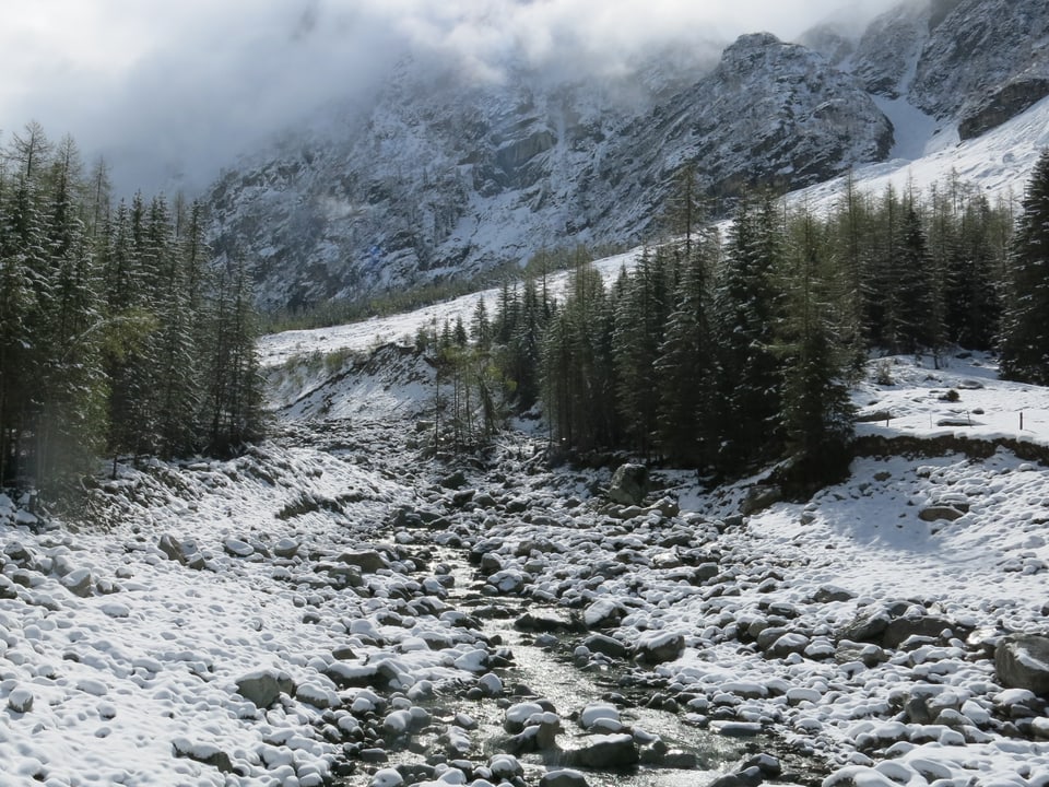Ein wildes Tal mit Schnee.