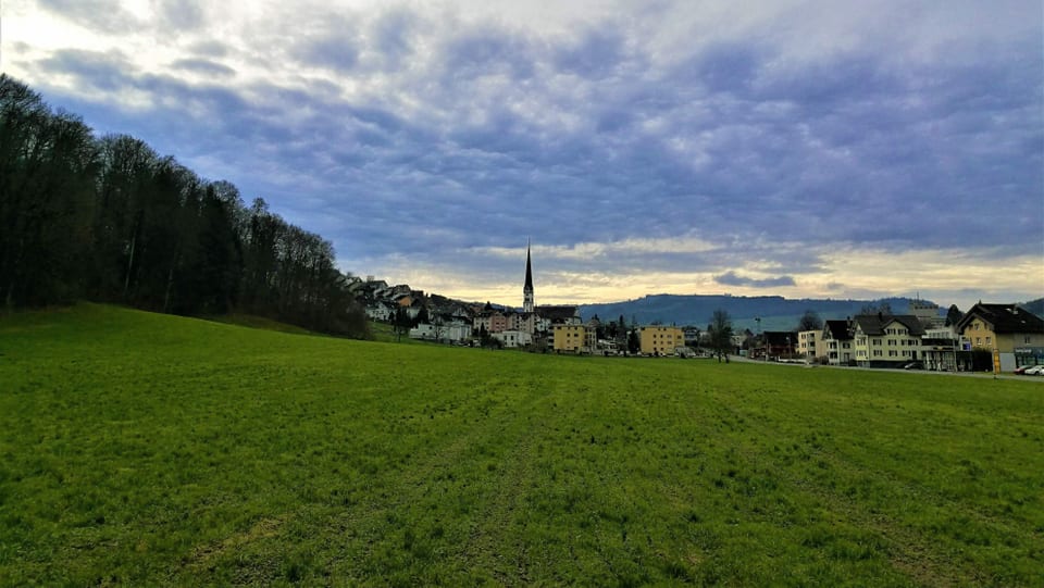 Blick auf eine satt-grüne Wiese, dahinter die Gemeinde Malters mit ihrem Kirchturm.