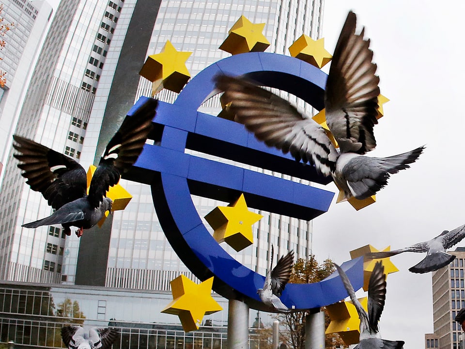 Tauben vor Euro-Symbol