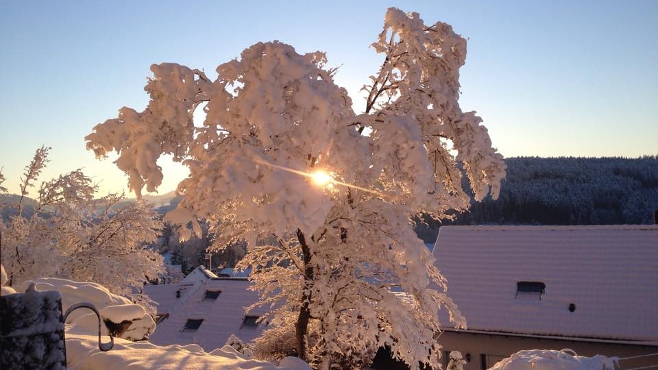 Am 18. Januar war es auch in tieferen Lagen endlich winterlich, wie hier in Madetswil.