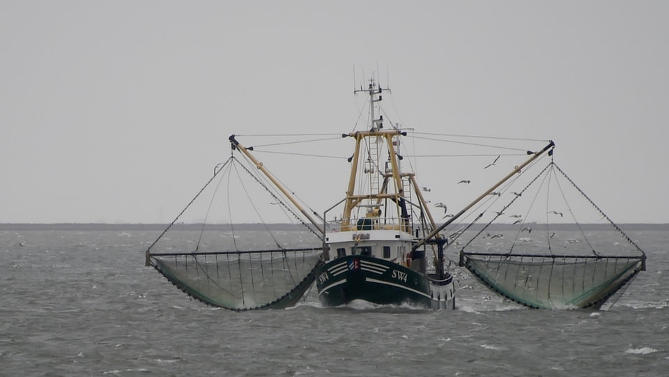 Fischkutter mit zwei vollen Netzen