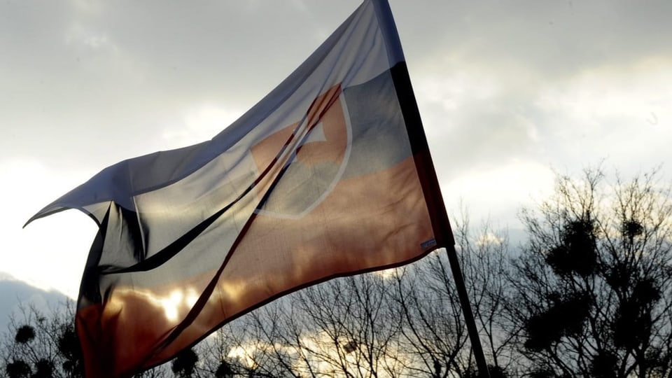 Slowakische Flagge weht im Wind