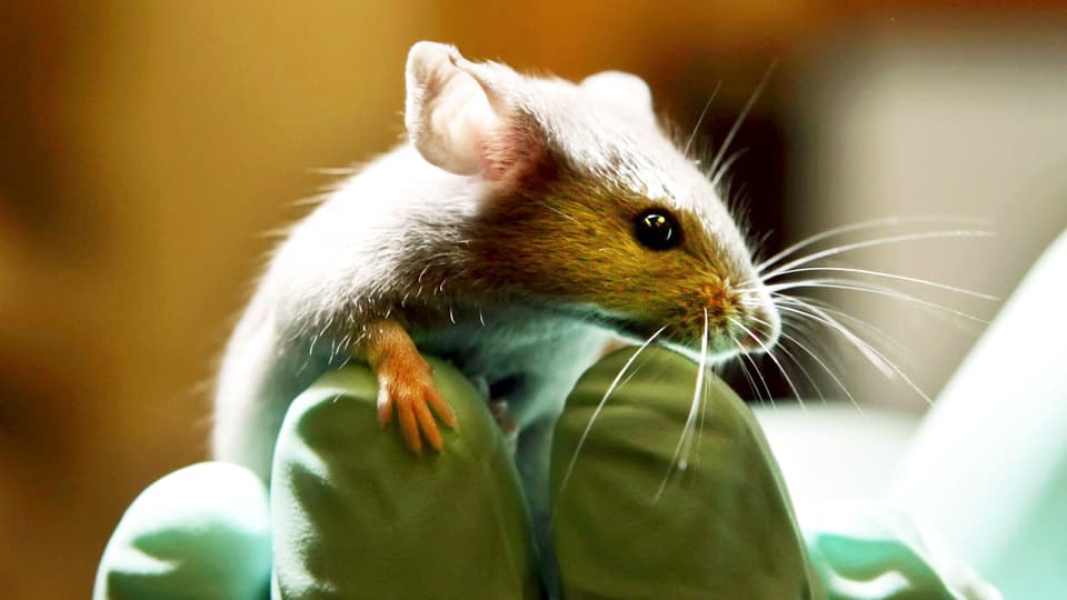 Sie Macht Sich Die Hände Schmutzig Sie Macht Sich Die Hände Schmutzig