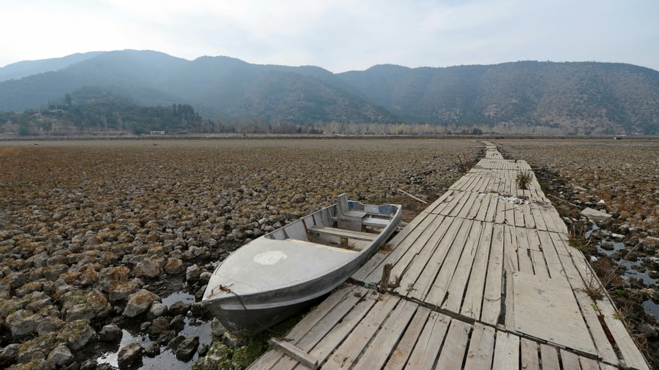 Viel Wasser für Avocados im trockenen Chile