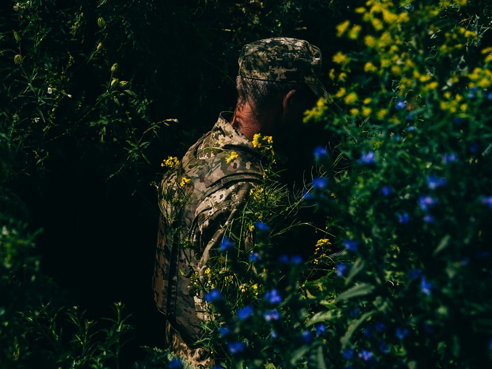 Soldat im Gebüsch, gelbe und blaue Blumen.