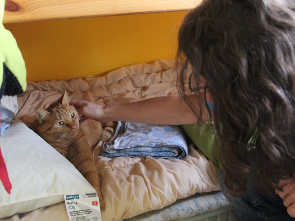 Katia streichelt rote Katze, die auf dem Bett liegt.