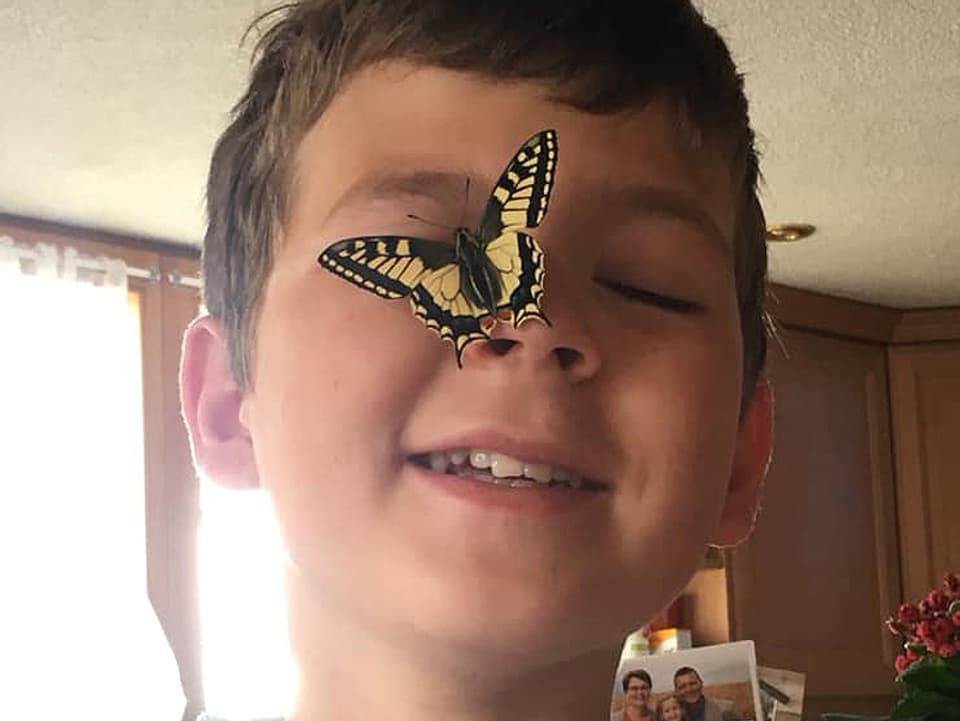 Junge mit Schmetterling auf der Nase