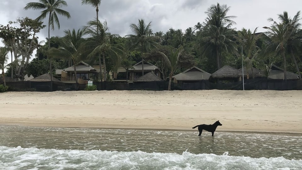 Koh Phangan