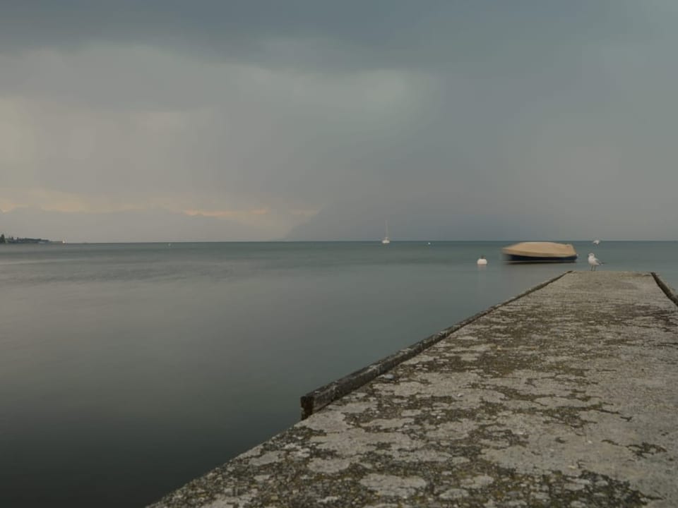 Petit-Port, St-Sulpice/VD Blick auf den Genfersee.