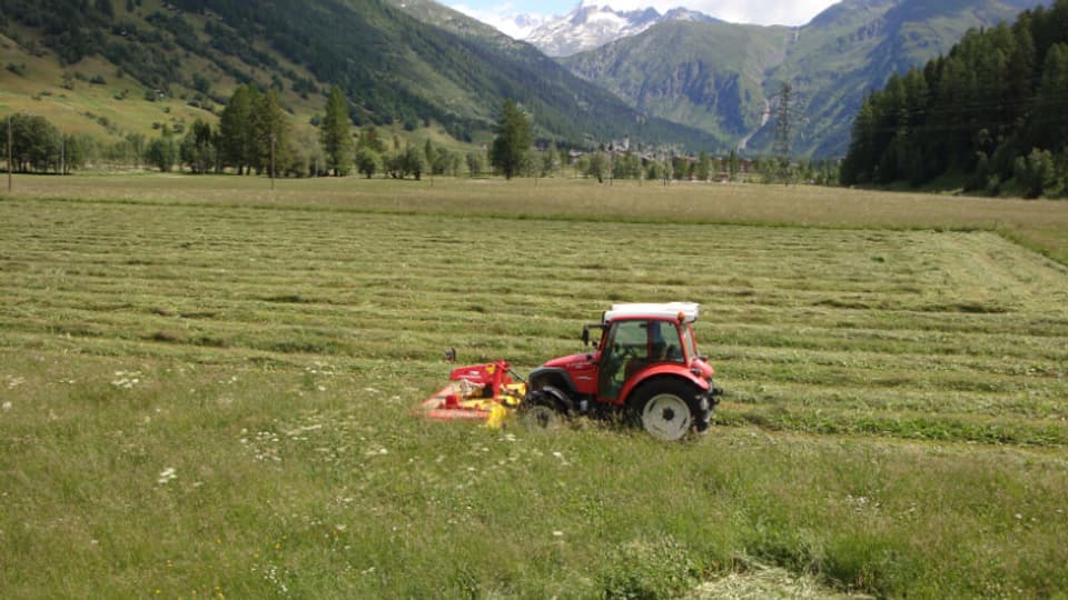 Roter Traktor mäht Wiese.
