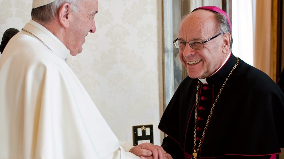 ein Bischof schüttelt dem Papst die Hand