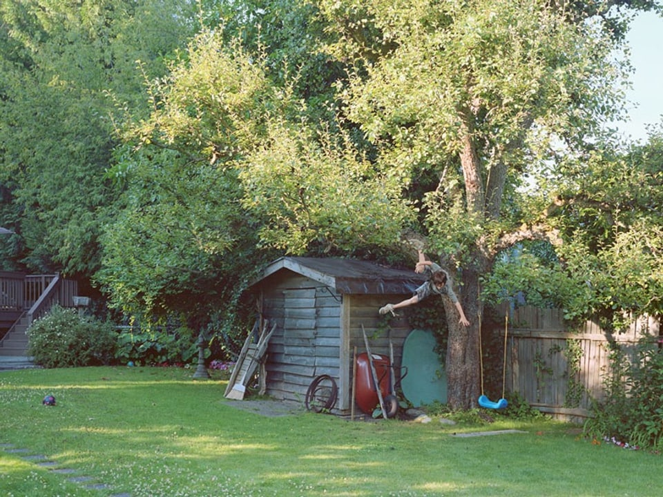 In einem Garten – mittig ein Gartenhäuschen, daneben eine Schaukel und ein Baum – fällt ein Junge von diesem Baum.