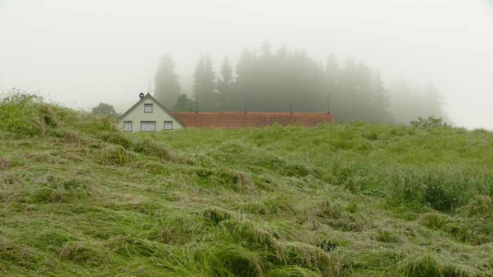 Appenzellerhaus im Nebel