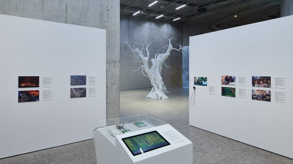 ein weisser Baum in einem Museum