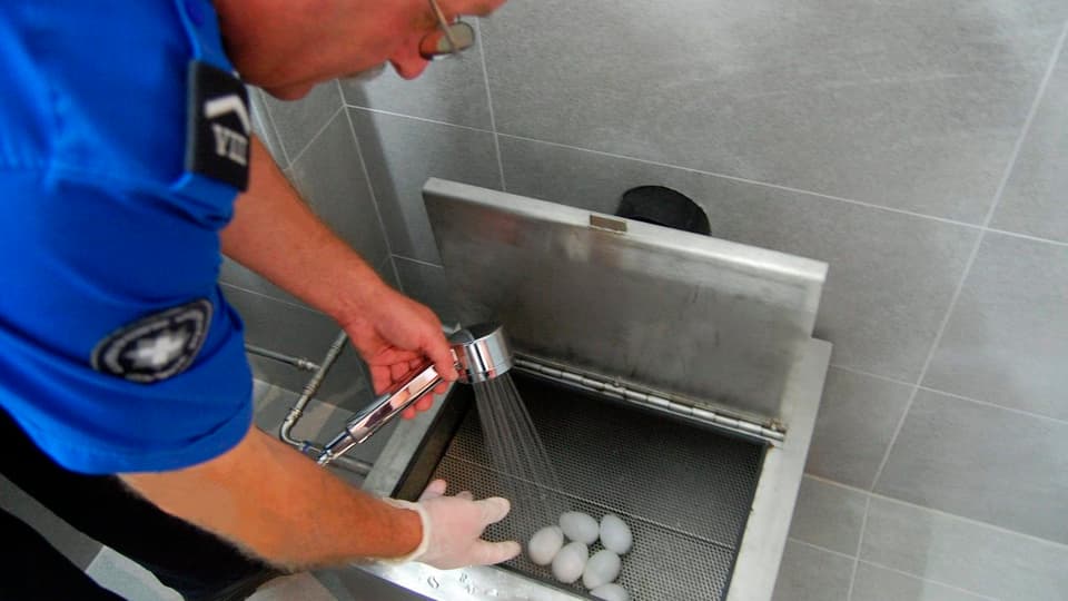 Ein Grenzwächter reinigt Fingerlinge mit Wasser.