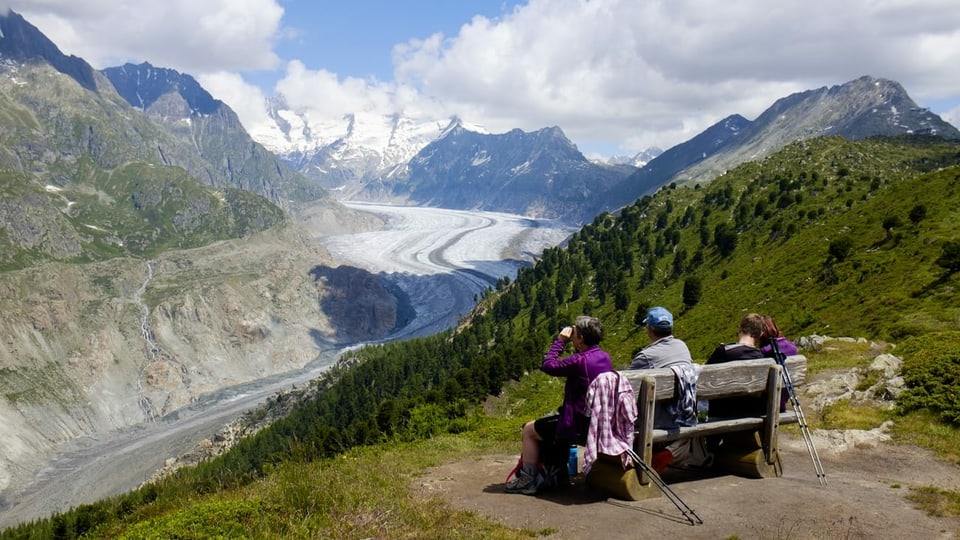 Bänkli mit Aussicht auf den Aletschgletscher