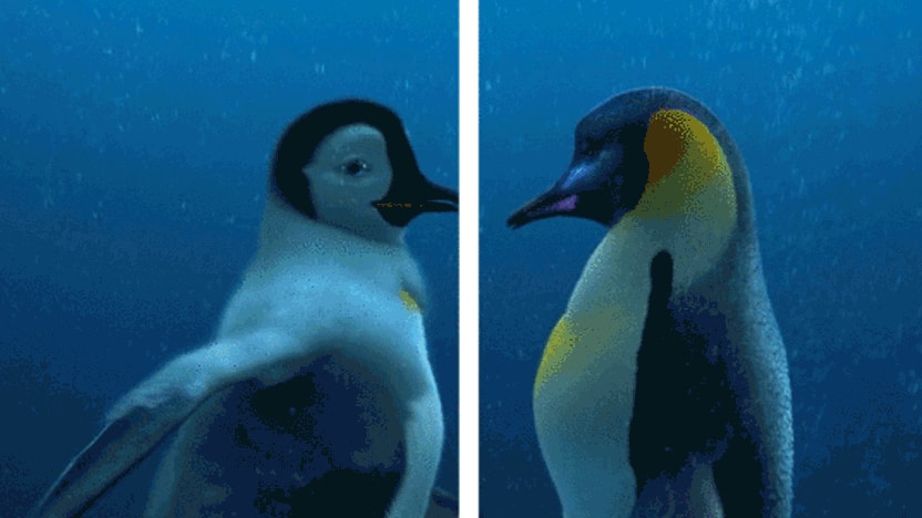 Zwei animierte Pinguine schwimmen unter Wasser im Kreis.