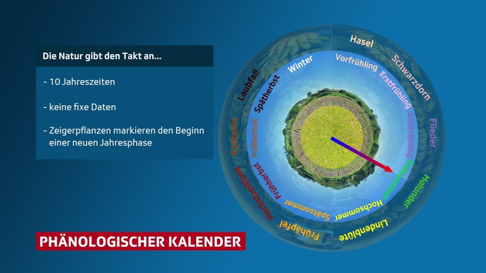 Tafel mit Beschreib von Jahreszeiten durch Pflanzen.