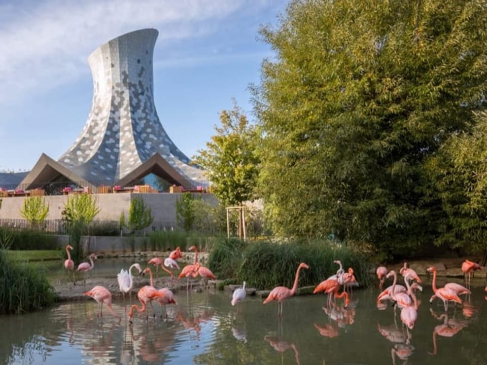 Der Neubau des Zauberhuts mit Flamingos im Vordergrund