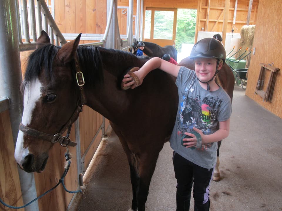 Mädchen bürstet Pferd