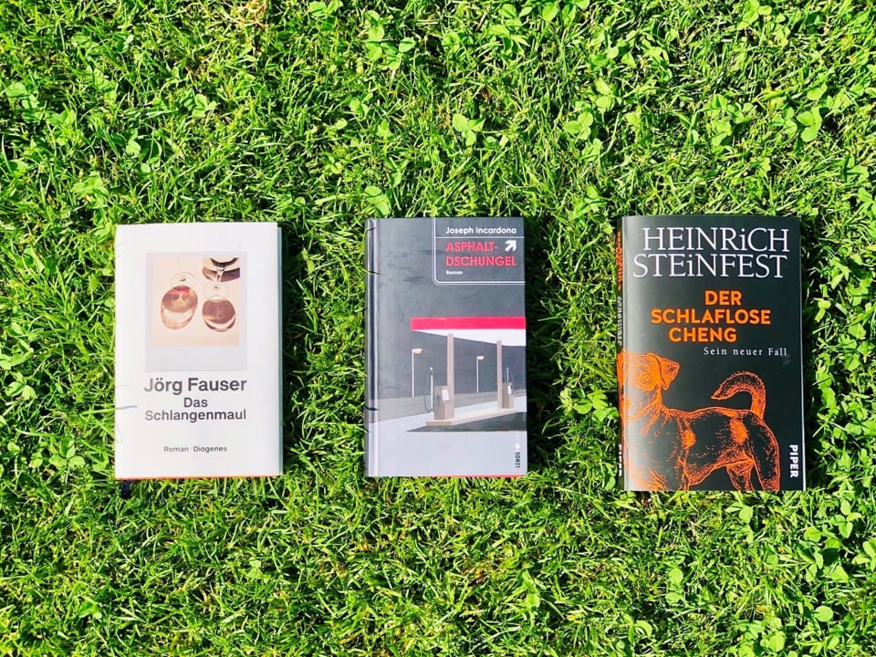 Die Romane "Das Schlangenmaul" von Jörg Fauser, "Asphaltdschungel" von Joseph Incardona und "Der schlaflose Cheng" von Heinrich Steinfest liegen auf grünem Rasen
