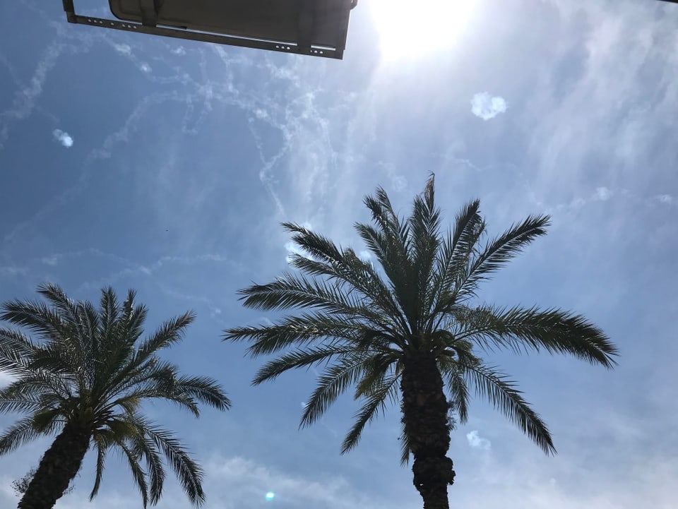 Luftabwehr im Himmel über zwei Palmen.