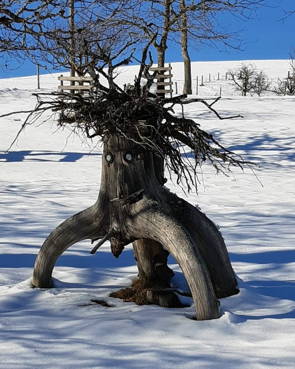 Ein Baumstamm der aussieht wie ein Männchen im Schnee.
