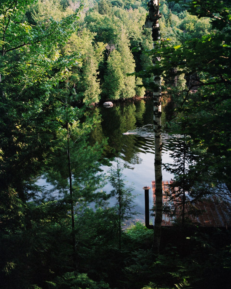 Blick aus dem Wald auf einen ruhigen See. In der Mitte ist klein ein schwimmender Mensch zu erkennen.