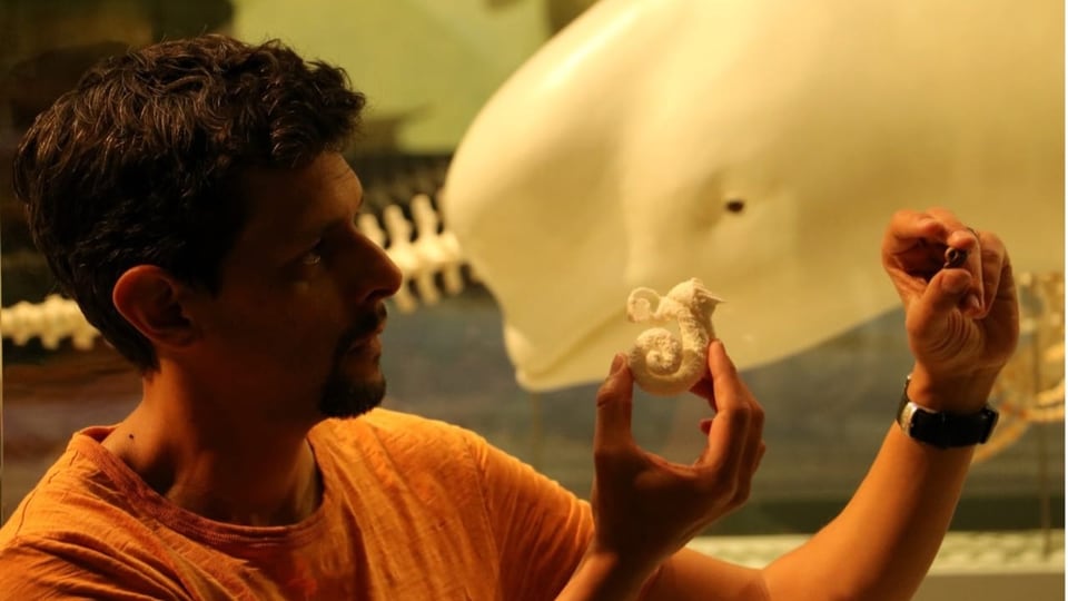 Aguirre hält ein Fossil eines Ohrknochens eines Delfins (rechts) und einen 3D-Druck des Innenohrs (Mitte) hoch.