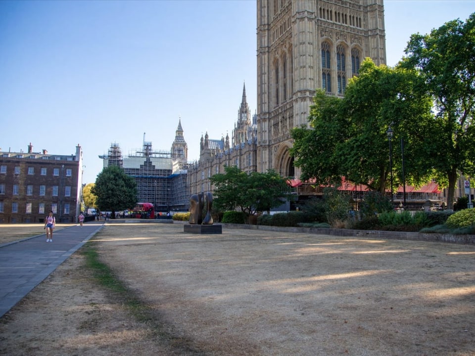 Der Rasen vor dem britischen Parlamentsgebäude ist braun.