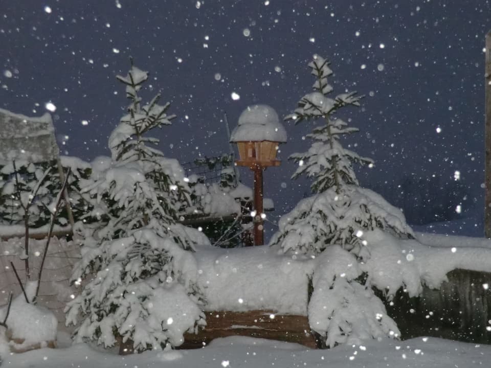 Tanne und Vogelhäuschen im Garten zugedeckt mit Schnee.