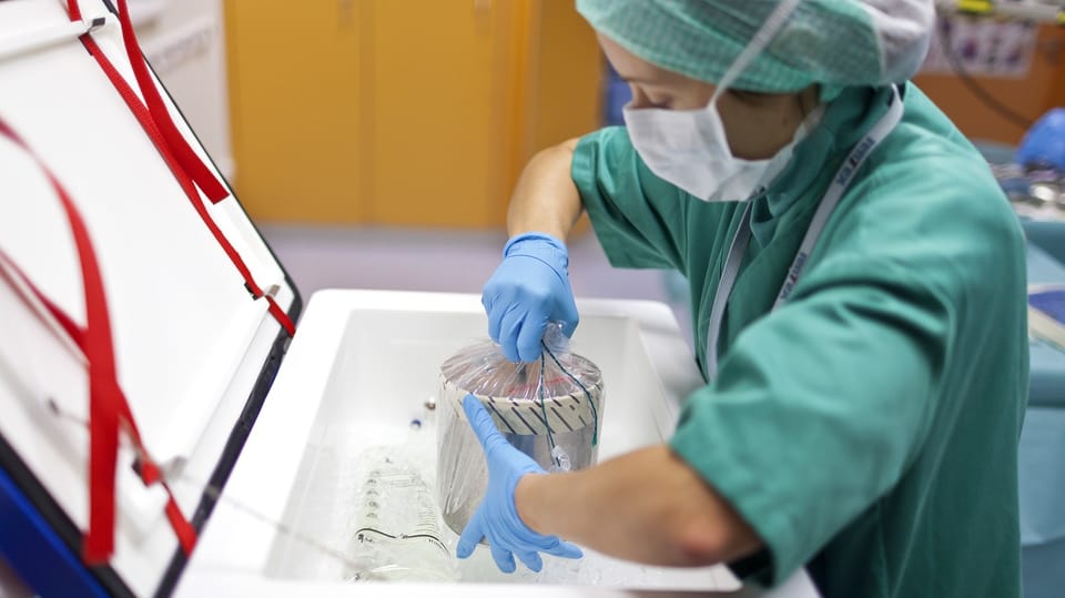 Medizinerin in Schutzanzug entnimmt tiefgekühltes Organ aus Kühlbox