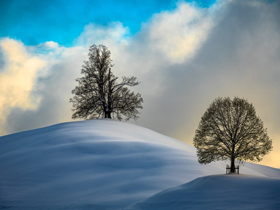 Zwei Bäume auf schneebedeckten Hügeln bei Sonnenuntergang