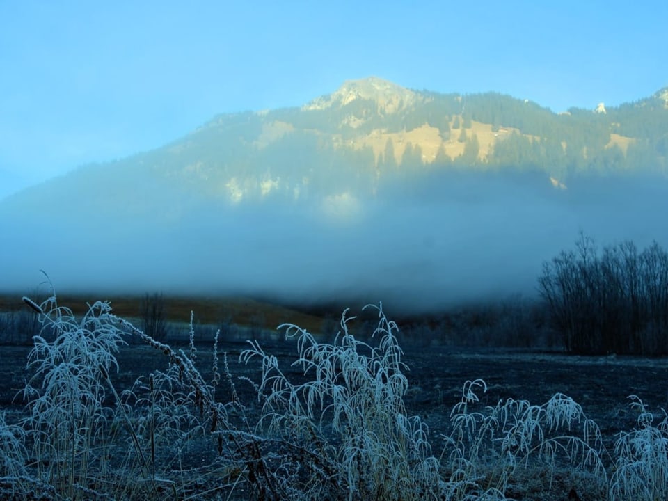 Nebel und Raueis